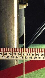 80