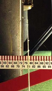 78